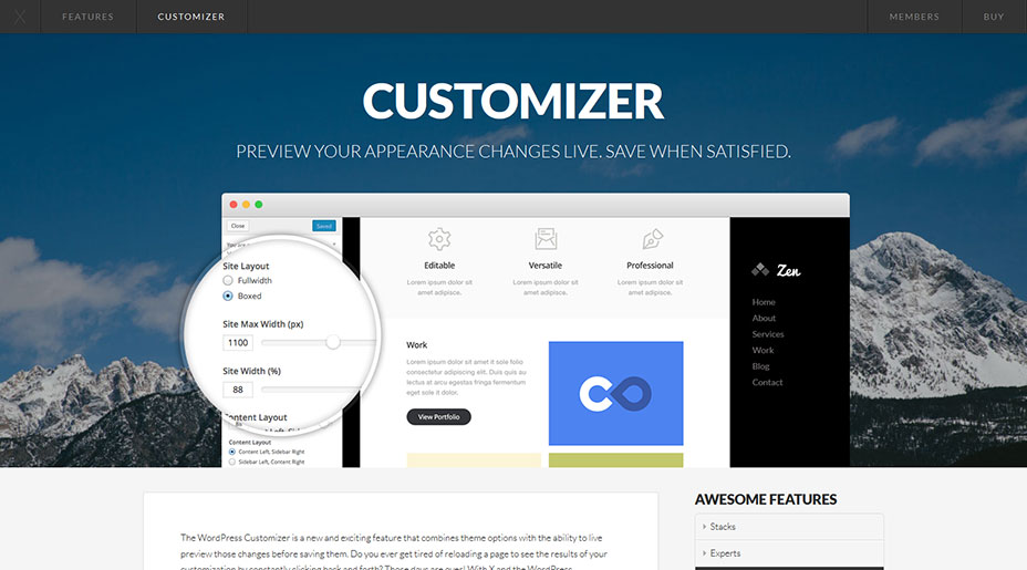theme_co_x_features_customizer