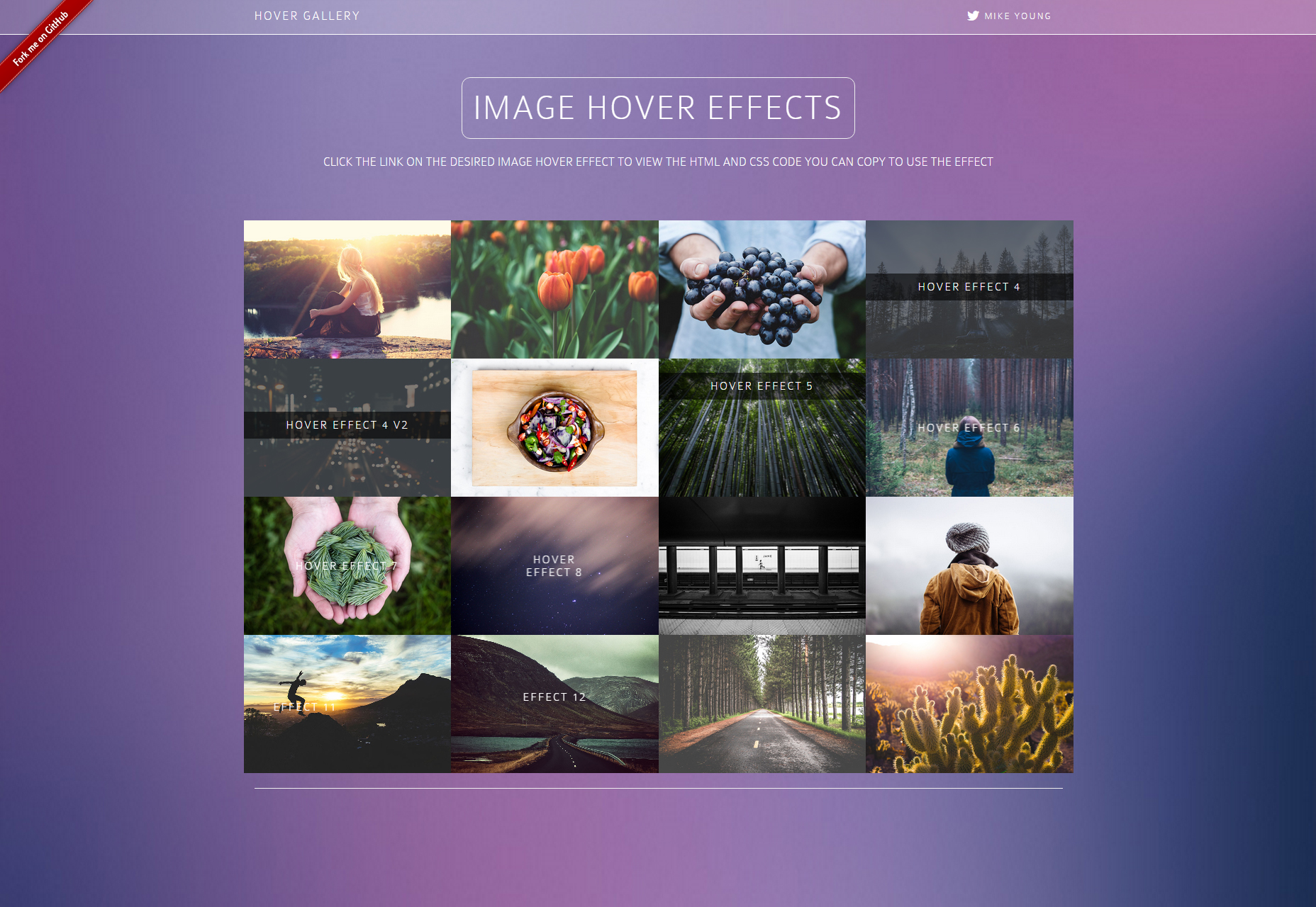 Bootstrap Image Hover HTML & CSS Effects Gallery