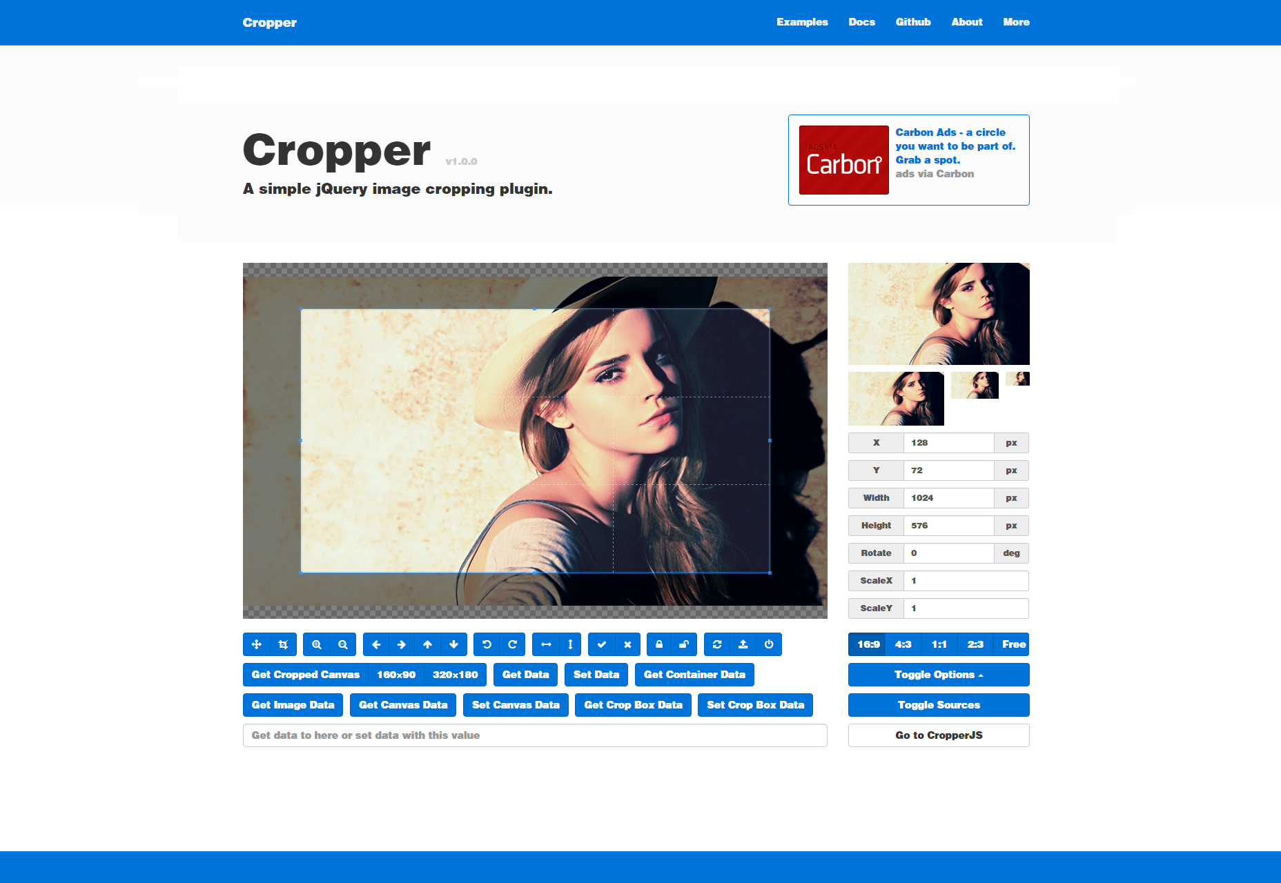 Cropper: Simple Image Cropping JQuery Plugin