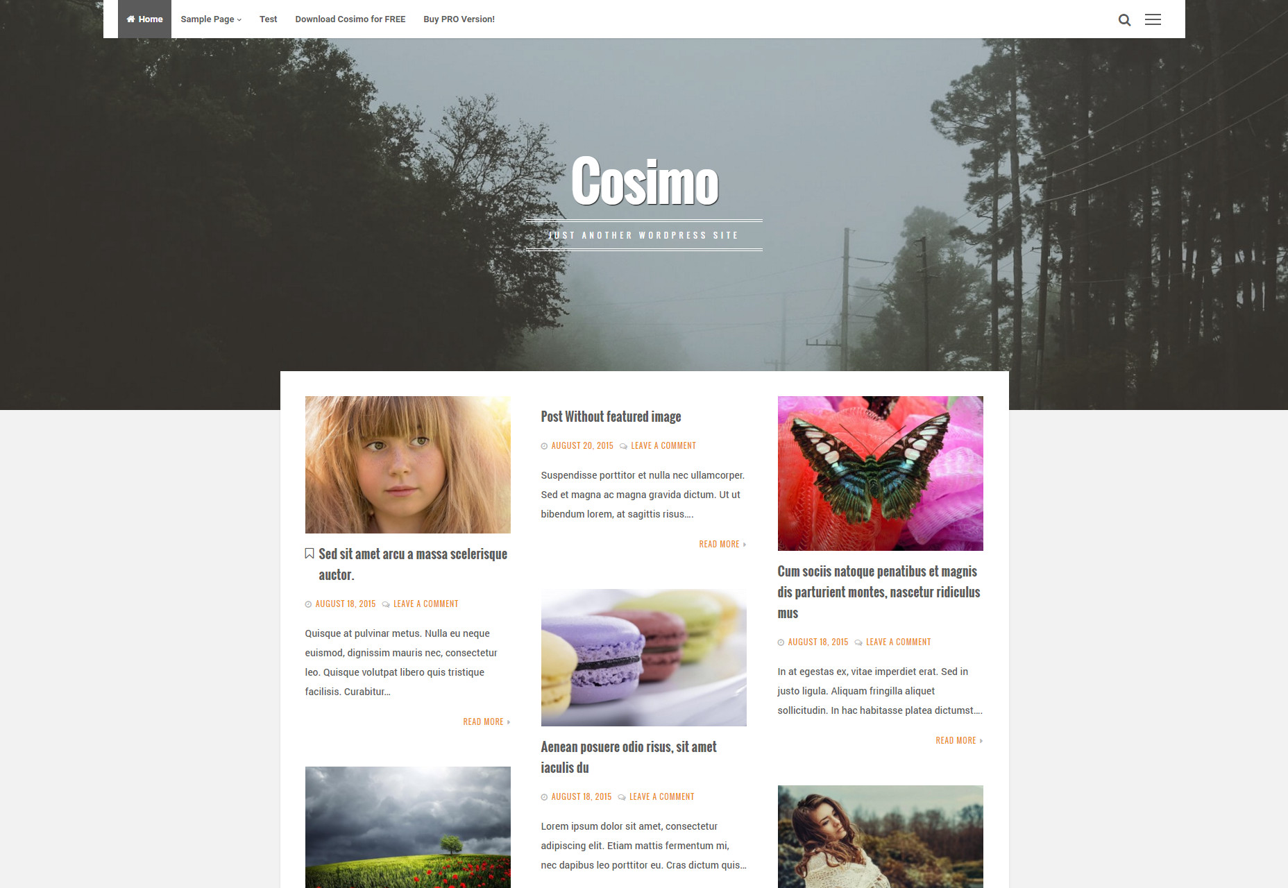 Cosimo: Blog & Portfolio WordPress Theme