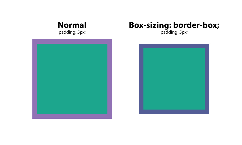 box-sizing