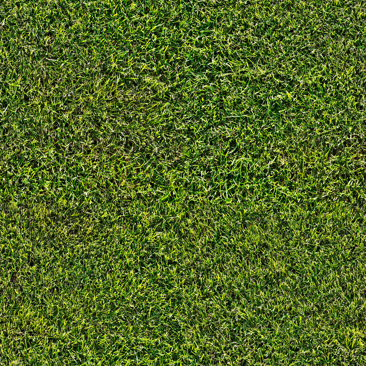 wildtextures_short-grass-field-seamless-texture