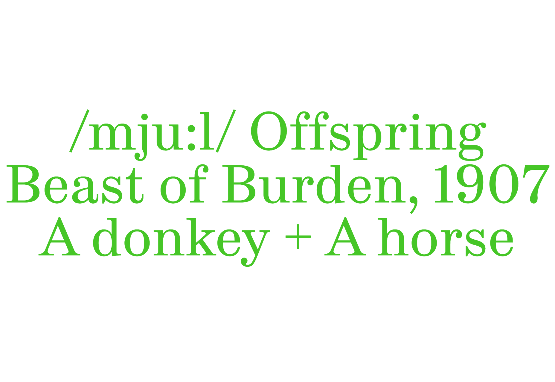 022 mule