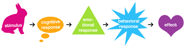 The Cognitive-Emotional-Behavioral Response Relationship