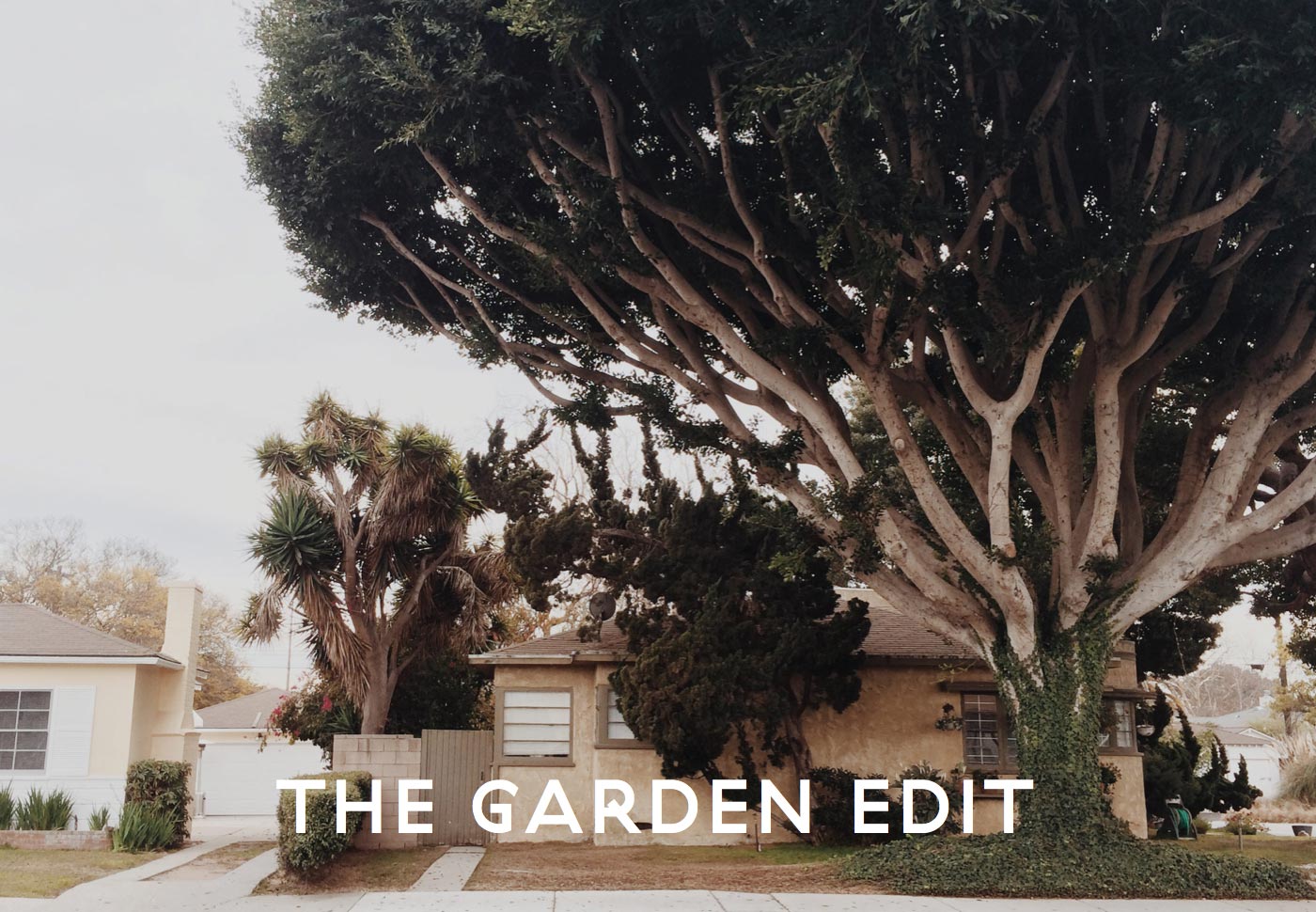 the garden edit